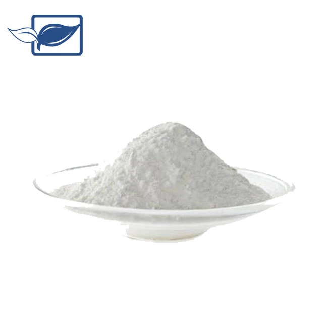 Creatina monoidrato in polvere