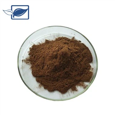 Estratto di Curculigo Orchidea